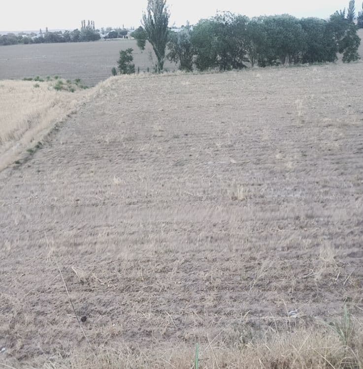 Jarqoʻrgʻon tumani Kakaydi Neftchilar mahallasi Mukopda 10 sotih yer s — 4