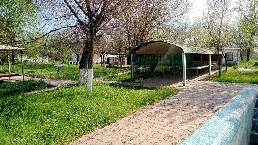 Готовая база отдыха в Сырдарье, 1 га, — 3