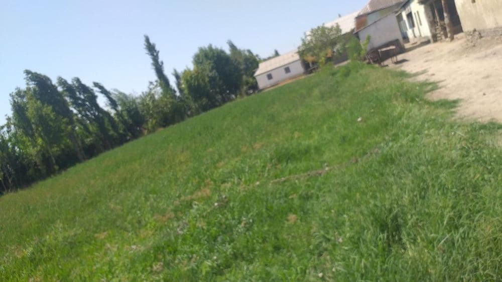 12 sotix yer sotiladi — 4