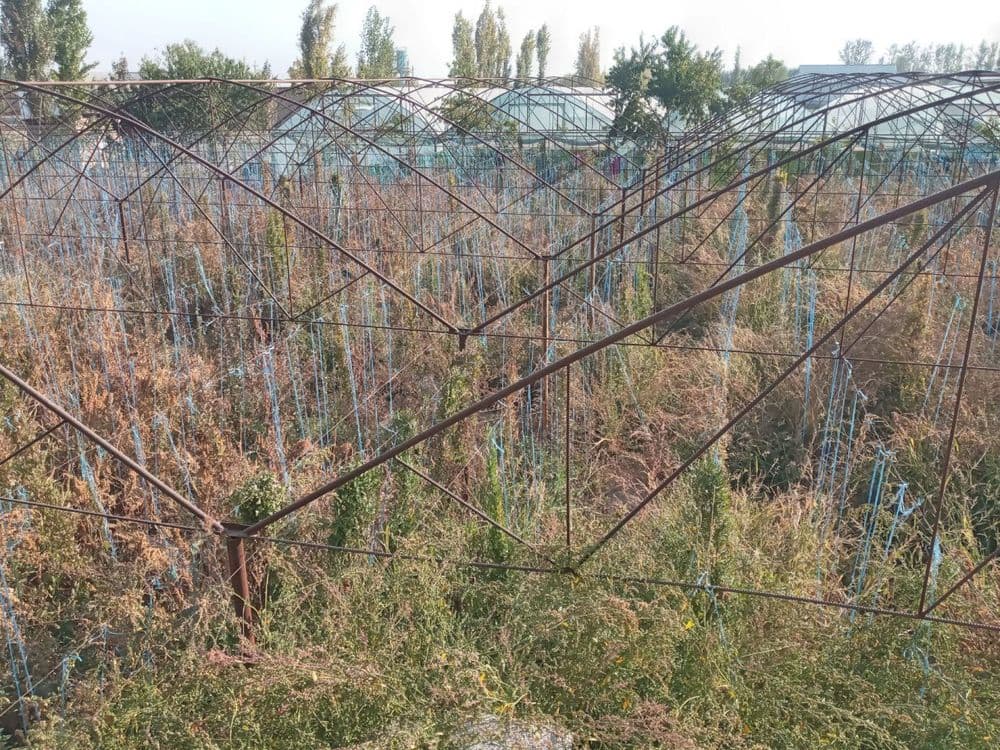 TЕПЛИЦА срочно сотилади  13.5 сотих - сув окувd латоги йок — 2
