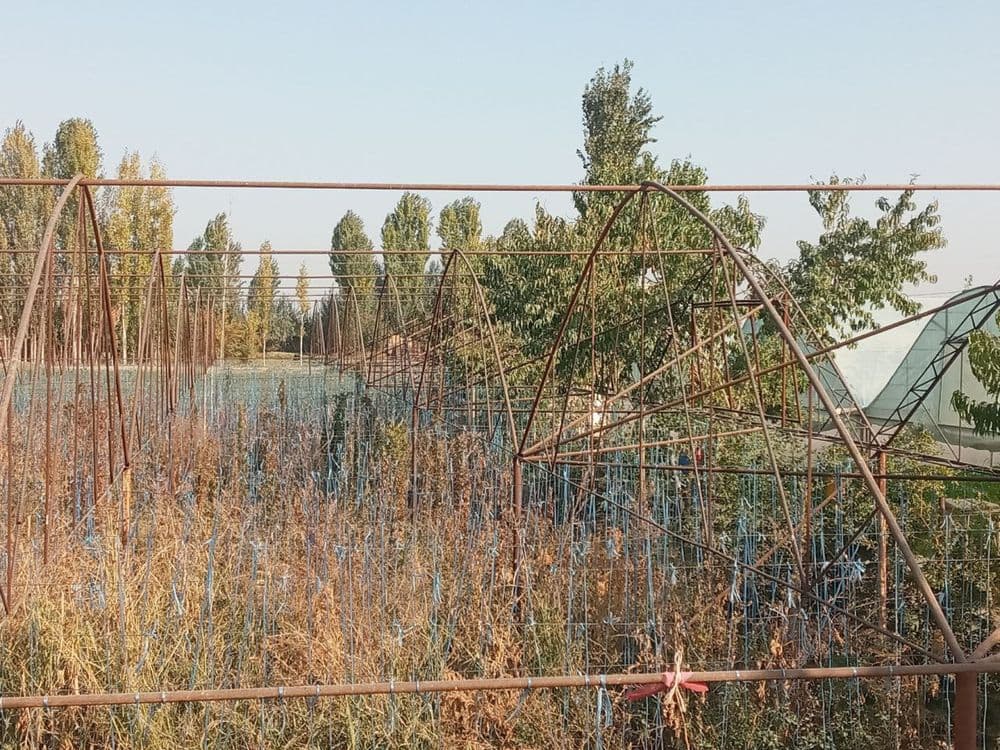 TЕПЛИЦА срочно сотилади  13.5 сотих - сув окувd латоги йок — 7