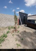 6 sotixli chek chorsi 15500$