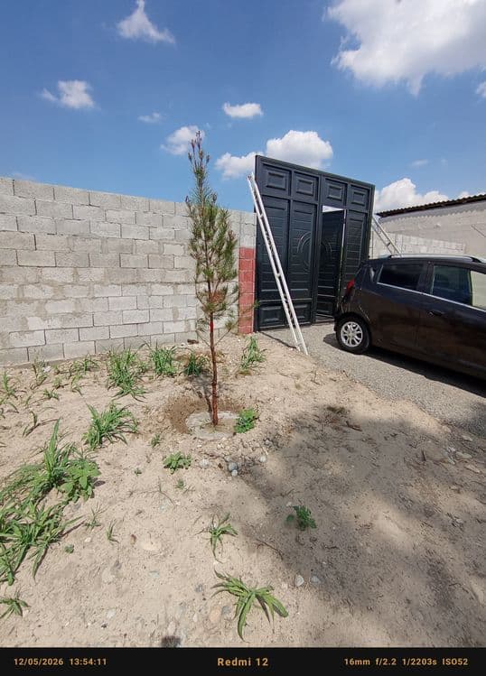6 sotixli chek chorsi 15500$ — 1