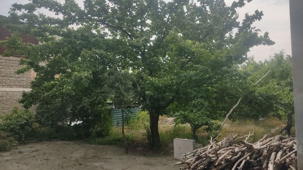 Uy sotiladi manzil Fargʻona viloyati Uchkoʻprik tumani olmurod mfy — 3