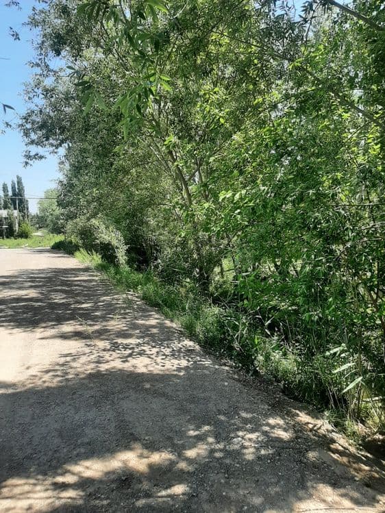 Furqat tumanida 10 sotik yer sotiladi — 1