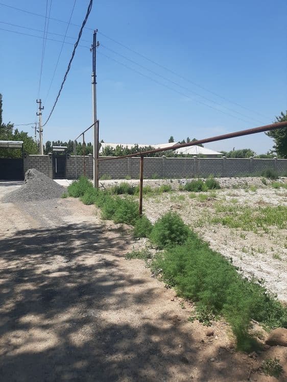 Furqat tumanida 10 sotik yer sotiladi — 5