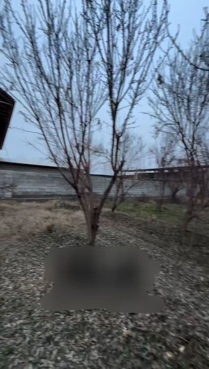 Zudlik bn yer sotiladi — 1
