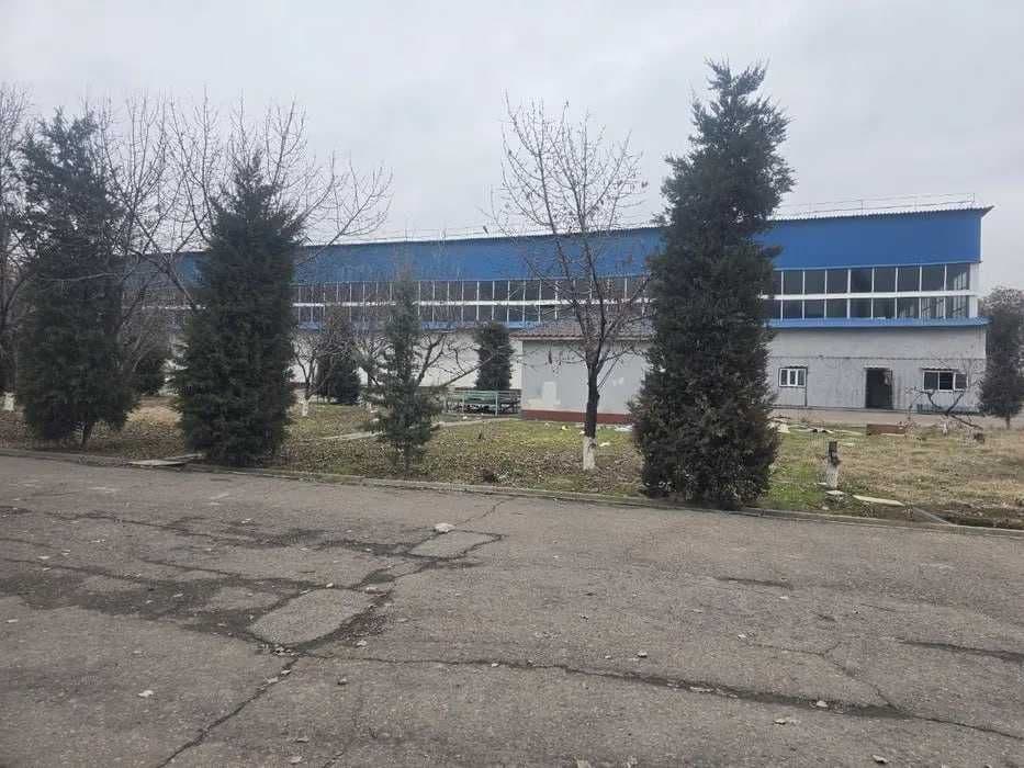 Сдается помещение под склад производство, в центре, Мирабадский район — 1