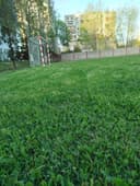 Футбольные поля в аренду с натуральной  и искусственной травой .