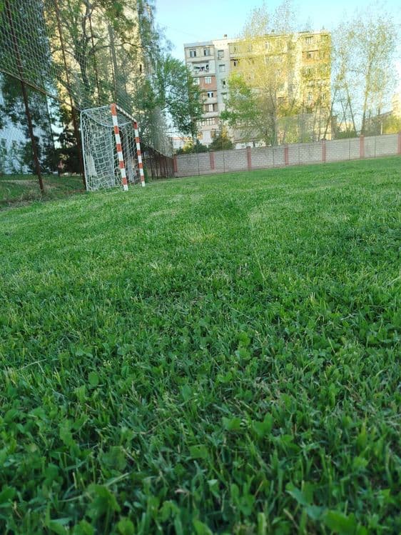 Футбольные поля в аренду с натуральной  и искусственной травой . — 3