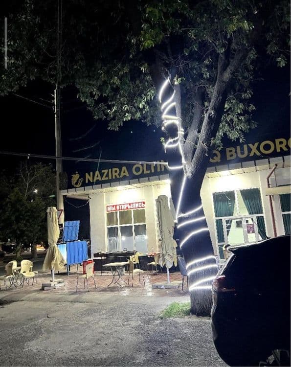 avayhon kafe arendaga beriladi — 1