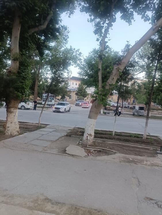 Apteka va klinikaga ijaraga beriladi — 2
