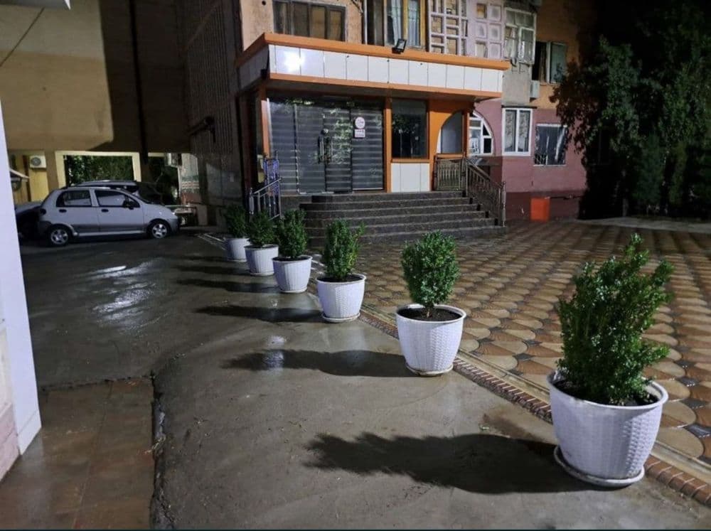 Samarqand markazida tayyor biznes – zamonaviy kafe ijaraga beriladi — 7