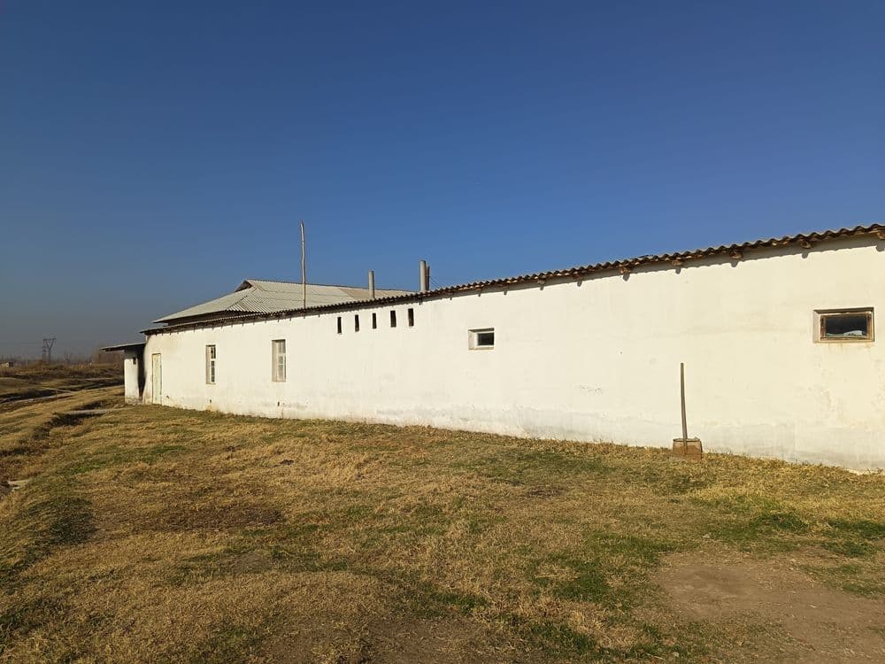 Srochna sotiladi — 4