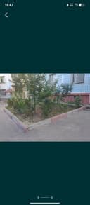 Algoritm qizil sharq 1 xona