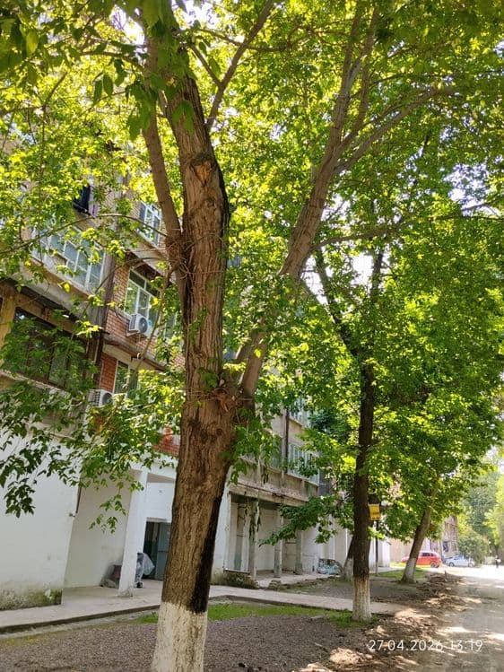 Продается или меняется квартира в кирпичном доме в Нурафшане. — 2