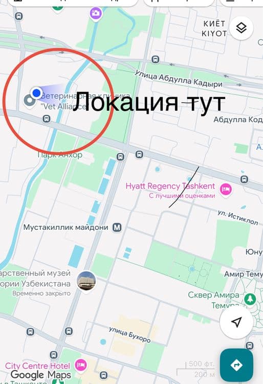Продаю свою квартиру — 2