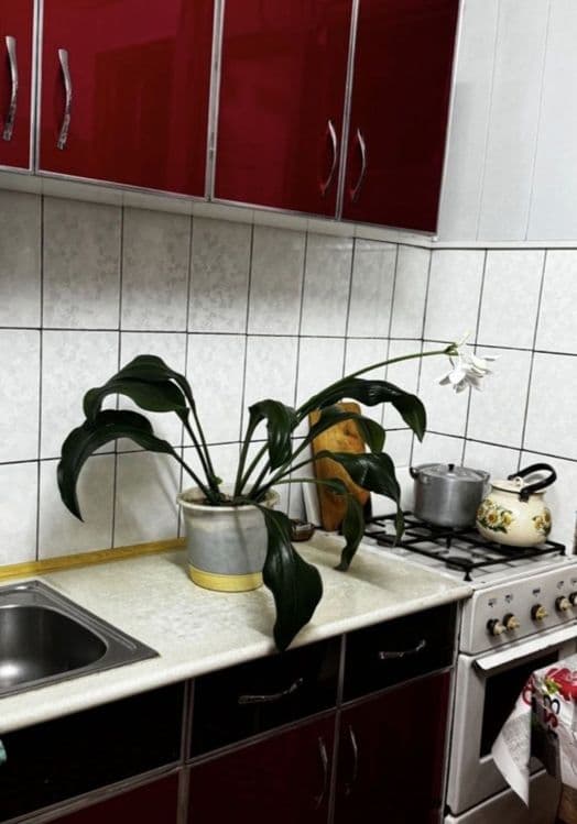Продается 2/3/5 квартира Карасу-6 — 3