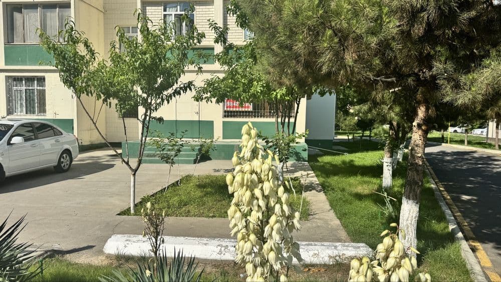 Продается квартира в яшнабадском районе — 2