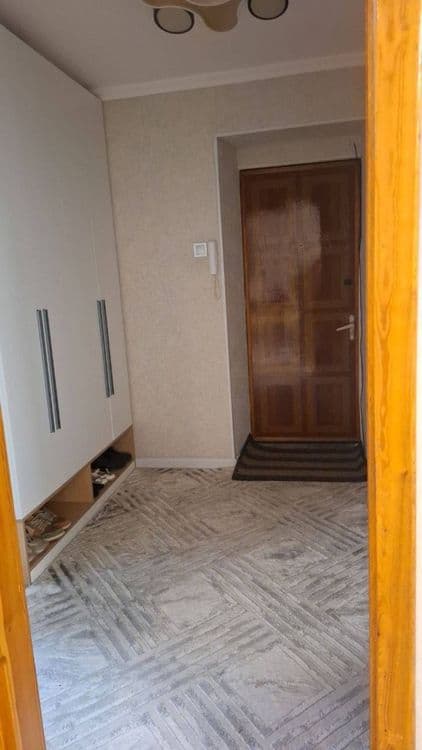 Парк фуркат 3/4/5 Кирпич с ремонтом — 4