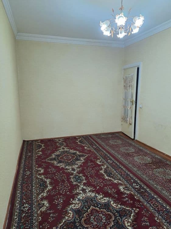 B12 Qora qamish 1-4 da 4/3/4 — 2