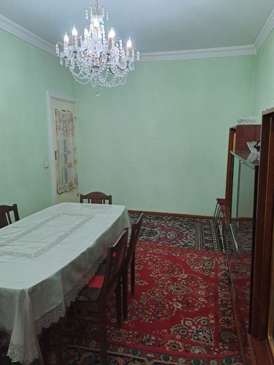 B12 Qora qamish 1-4 da 4/3/4 — 6