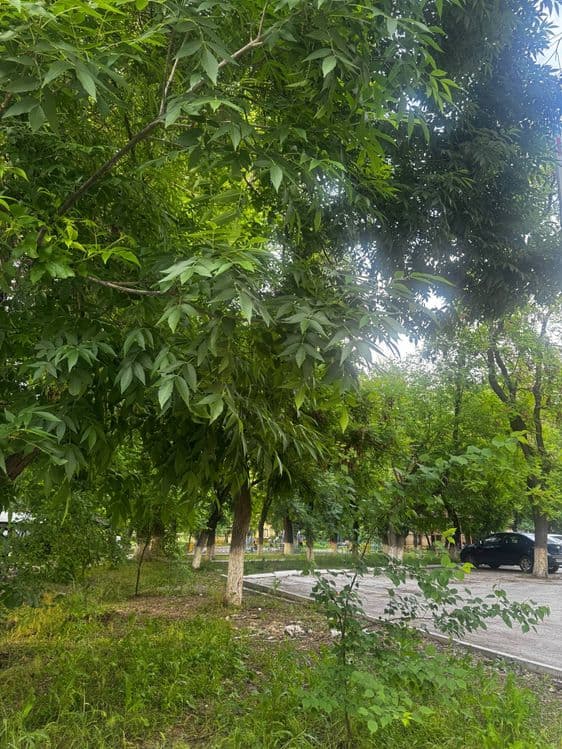 Продаётся срочно квартира — 3