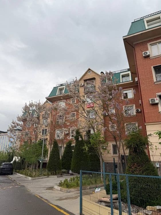 Продаётся Габус ор-р Элбек 3 комнатная — 3