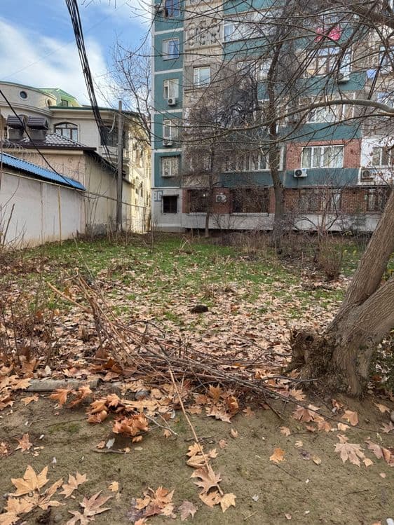 Под офис 2+2 Seul mun, Next — 6