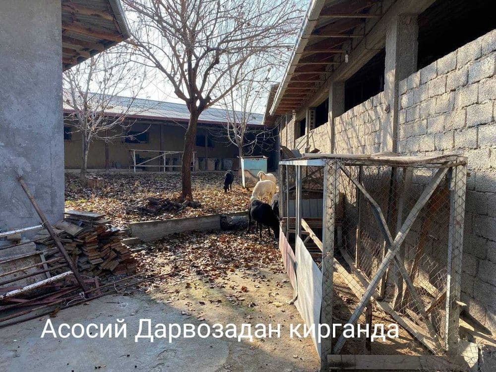 СРОЧНО ФЕРМА Назарбек Туркистон 73сотх. Торг уместен. — 4