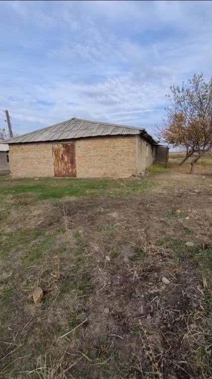 Товук ферма сотилади 2 гектар Продаётся земля 2 гектар — 2