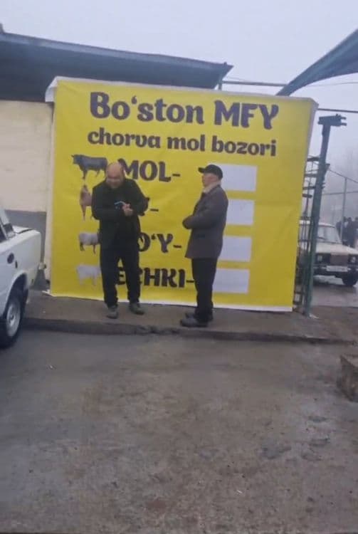 Мол бозори сотувда — 1