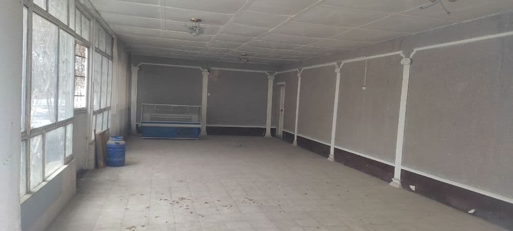 Toshkent viloyati Oqqorgon tumani Alimkent paxta zavodni oldida yolda — 2