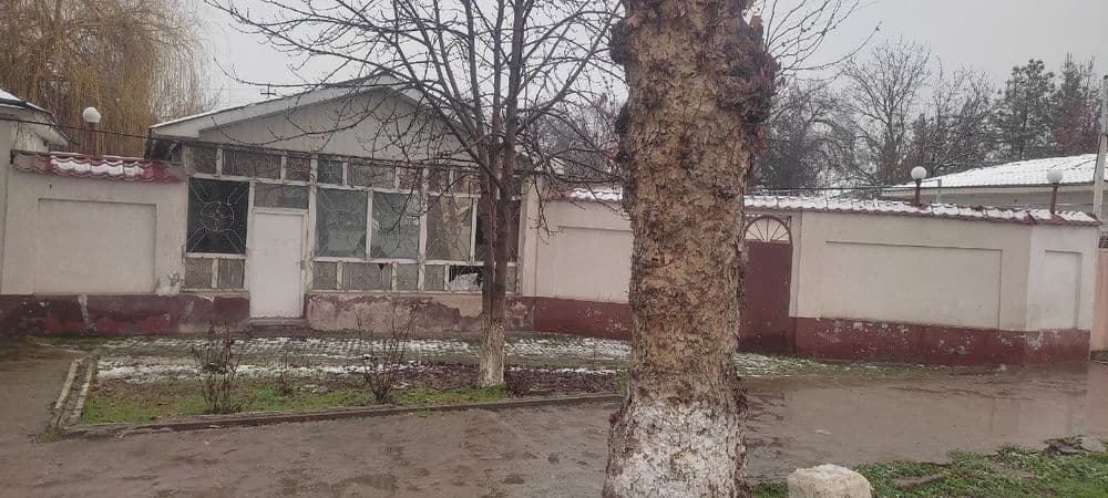 Toshkent viloyati Oqqorgon tumani Alimkent paxta zavodni oldida yolda — 3