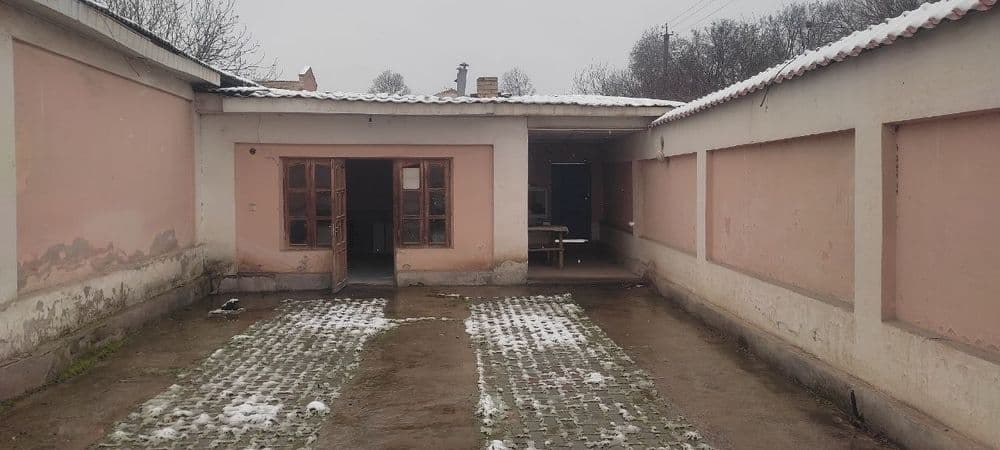 Toshkent viloyati Oqqorgon tumani Alimkent paxta zavodni oldida yolda — 5