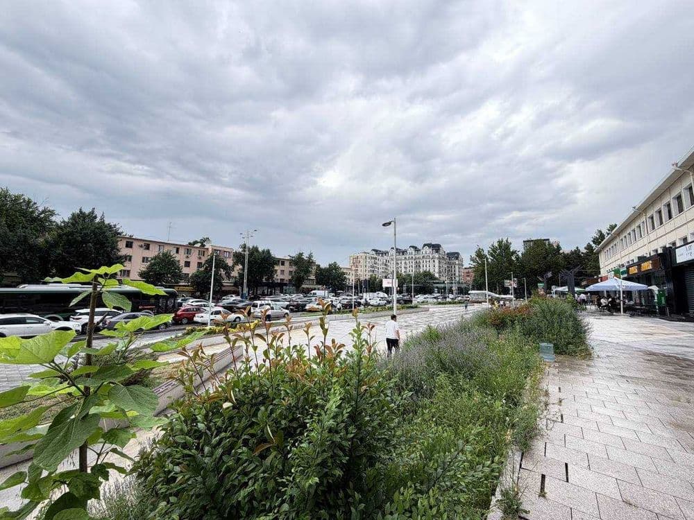Продажа коммерческого помещения 100м² | Первая линия | Минор метро — 3