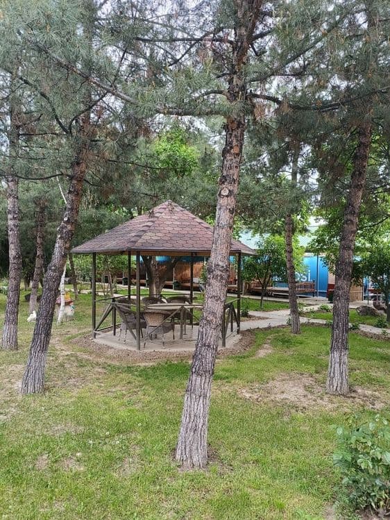 Продается Зона Отдыха (Готовый Бизнес) — 8