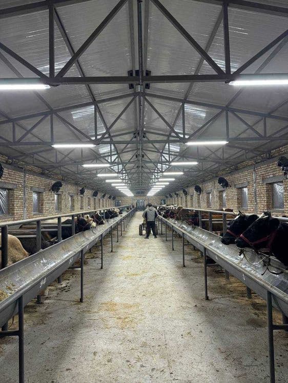 Продается Ферма действующая в Районе Босув SH83 — 3