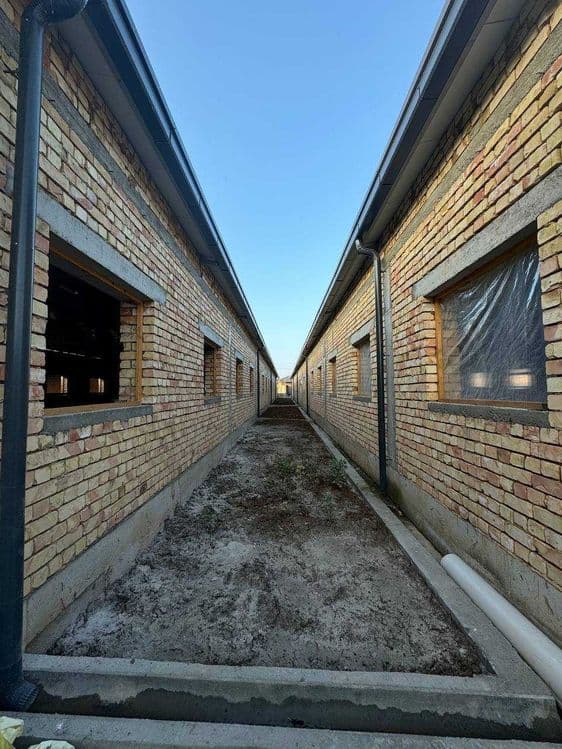 Продается Ферма действующая в Районе Босув SH83 — 8