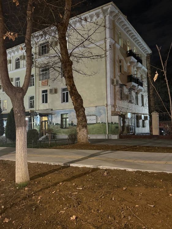 Продается нежилое помещение шота руставели готовый салон — 1