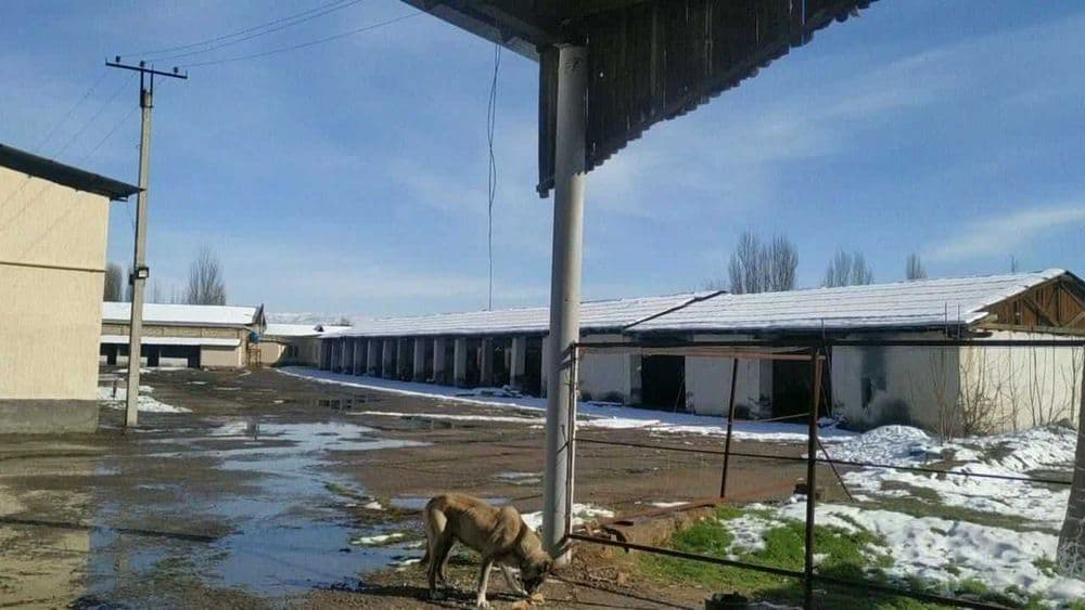 Продаётся производственная база — 5