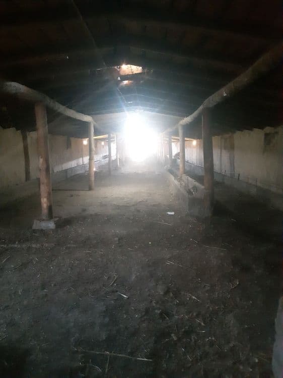 Чорва-моллари боқиш учун мўлжалланган жой — 3