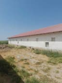 Паррандачилик комплекси