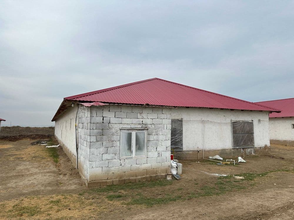 Паррандачилик комплекси — 2
