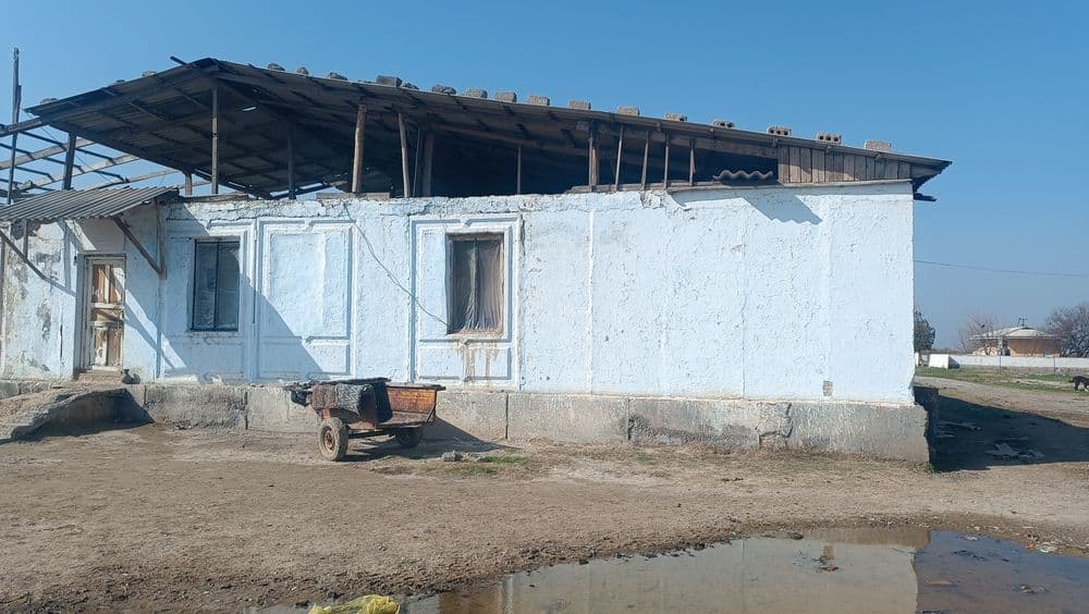 Zomin tumani Dashtobod shaharchasi Guliston MFY  da joylashgan noturar — 1