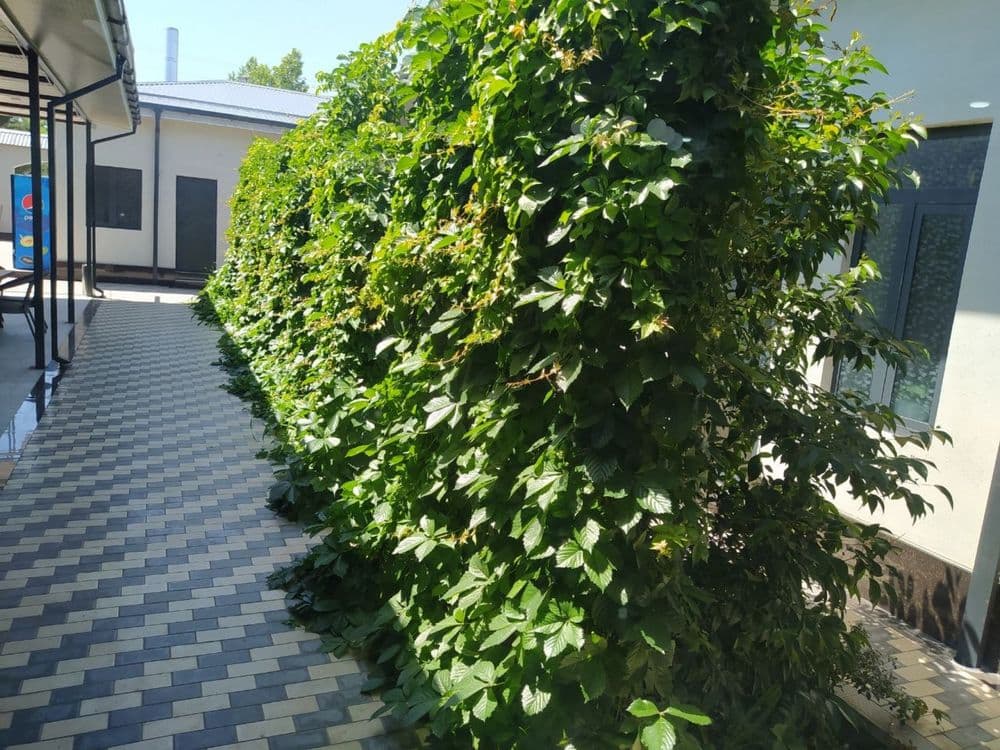 Kafe sotiladi, navoiy shahar — 3