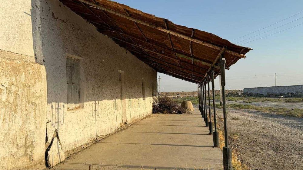 Товукхона, молхона, молбозор ва балик куллари сотилади — 4