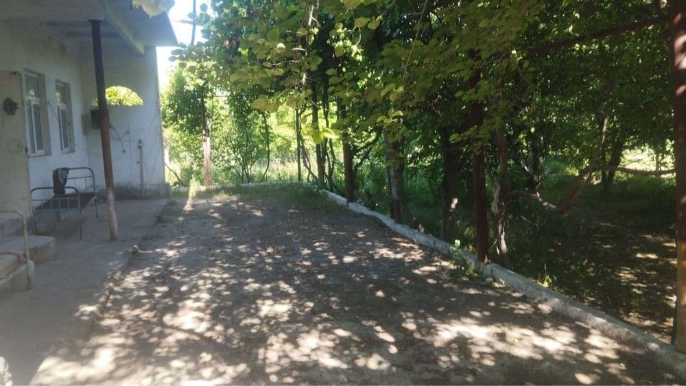 Biznes uchun Noturar Yer Bino Dacha Sotiladi — 6