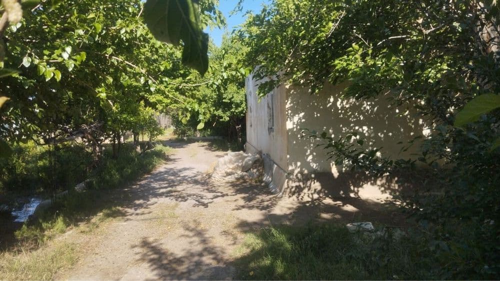 Biznes uchun Noturar Yer Bino Dacha Sotiladi — 8