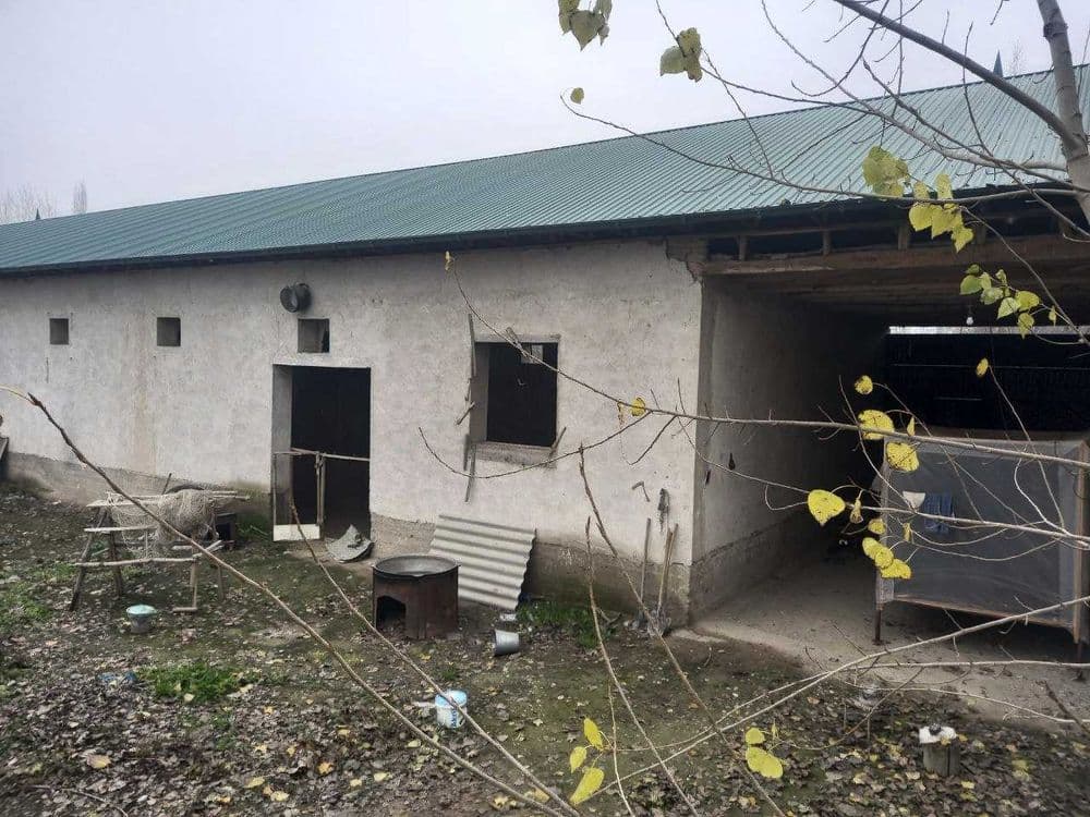 Oziq ovqat don maxsulotlarini qayta ishlash bino va inshoatlari — 3